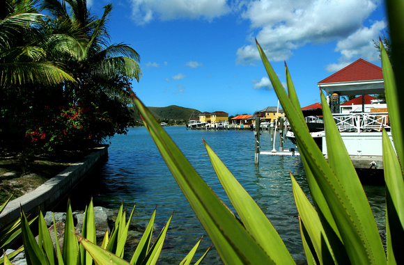 Jolly Harbor, Antigua
