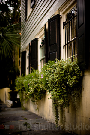 Charleston Home exterior detail.